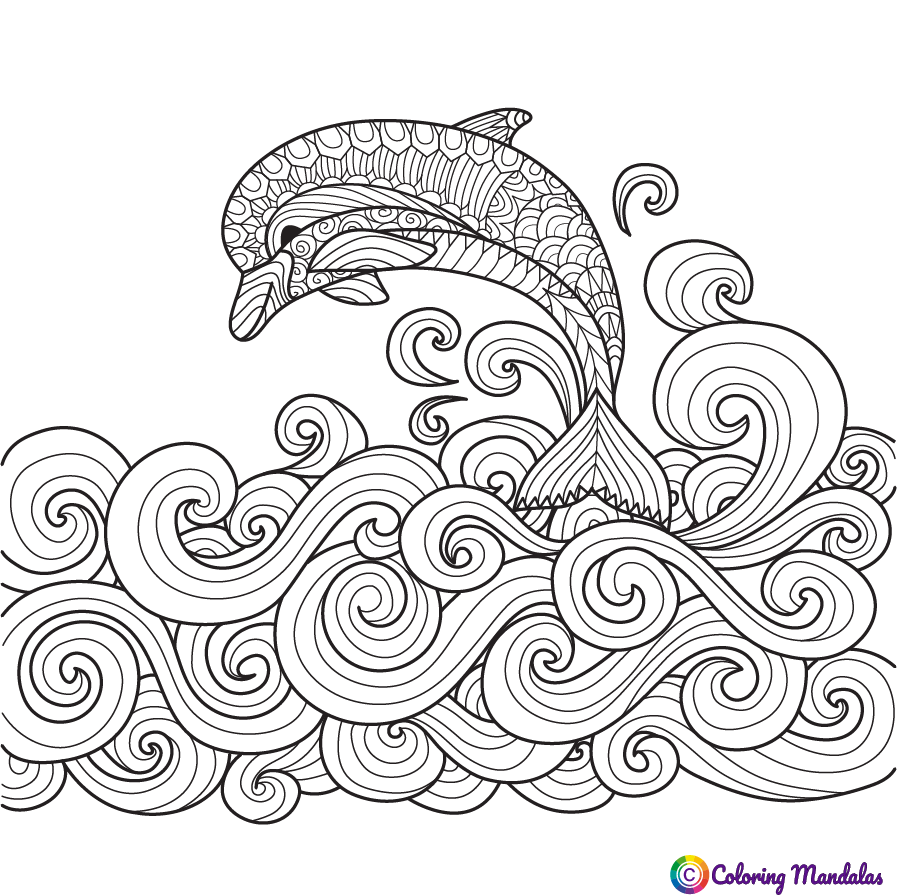 Dolphin