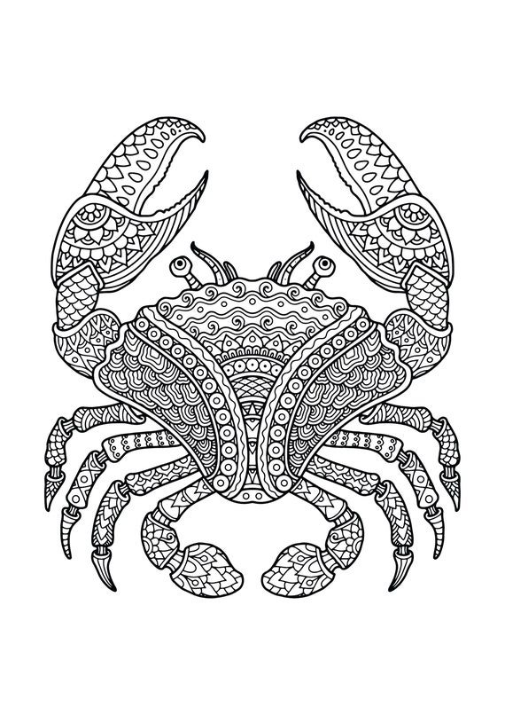 Printable animal mandala coloring pages ocean animal mandala adult coloring book