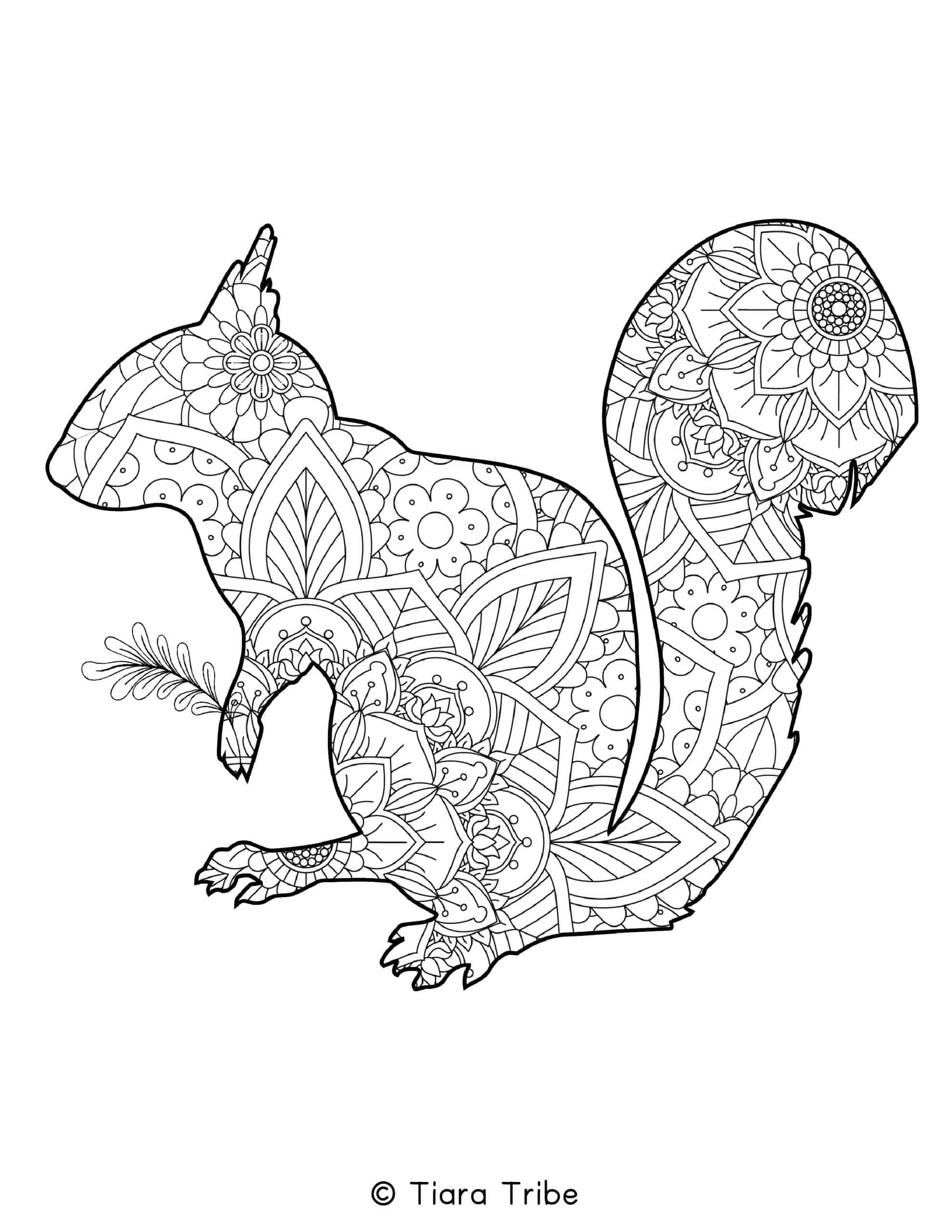 Best free animal mandala coloring pages pdfs to download