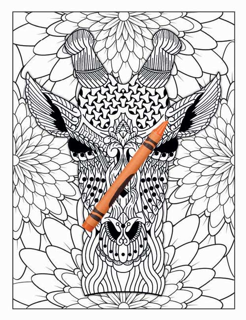 Mandala animals adult colouring book