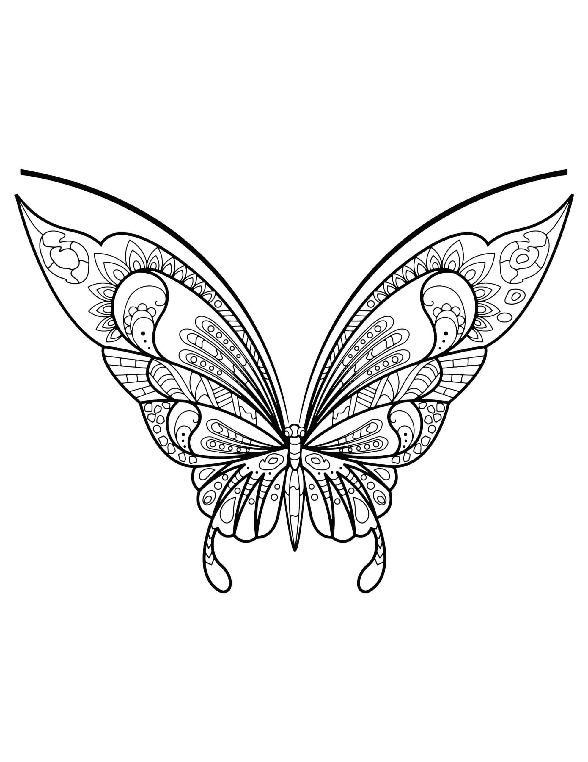 Beautiful butterfly mandala coloring page