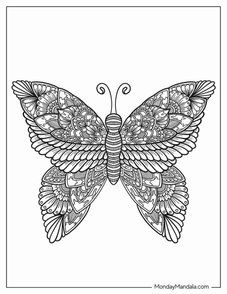 Butterfly coloring pages free pdf printables