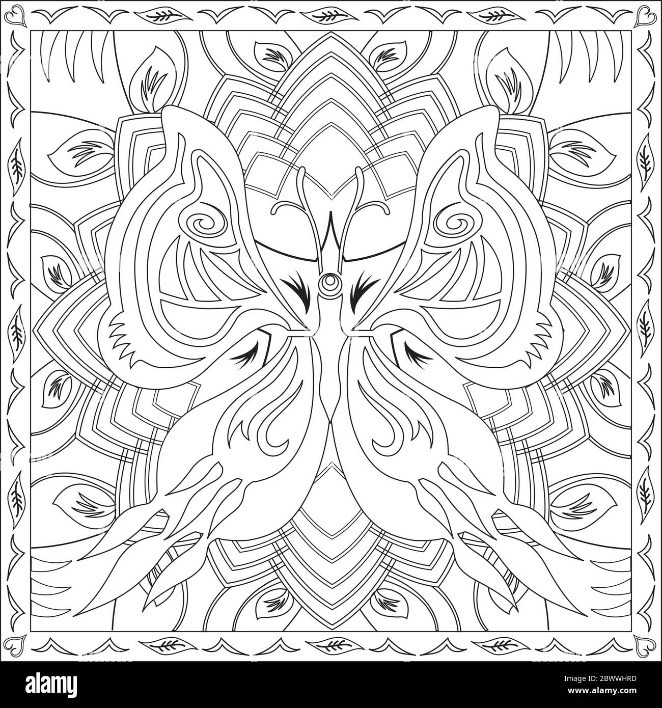 Coloring page illustration in square format for adults butterfly mandala and foliage design stock vector image art