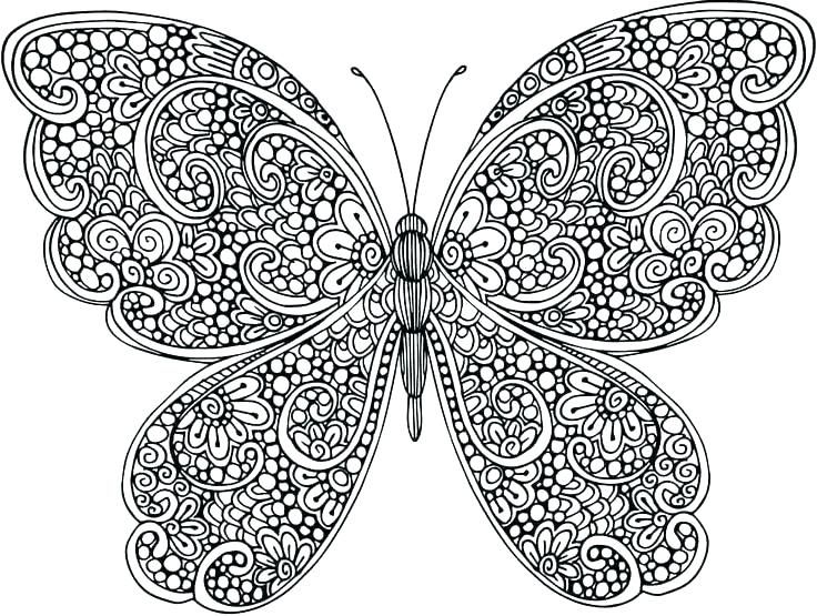 Butterfly coloring pages for adults