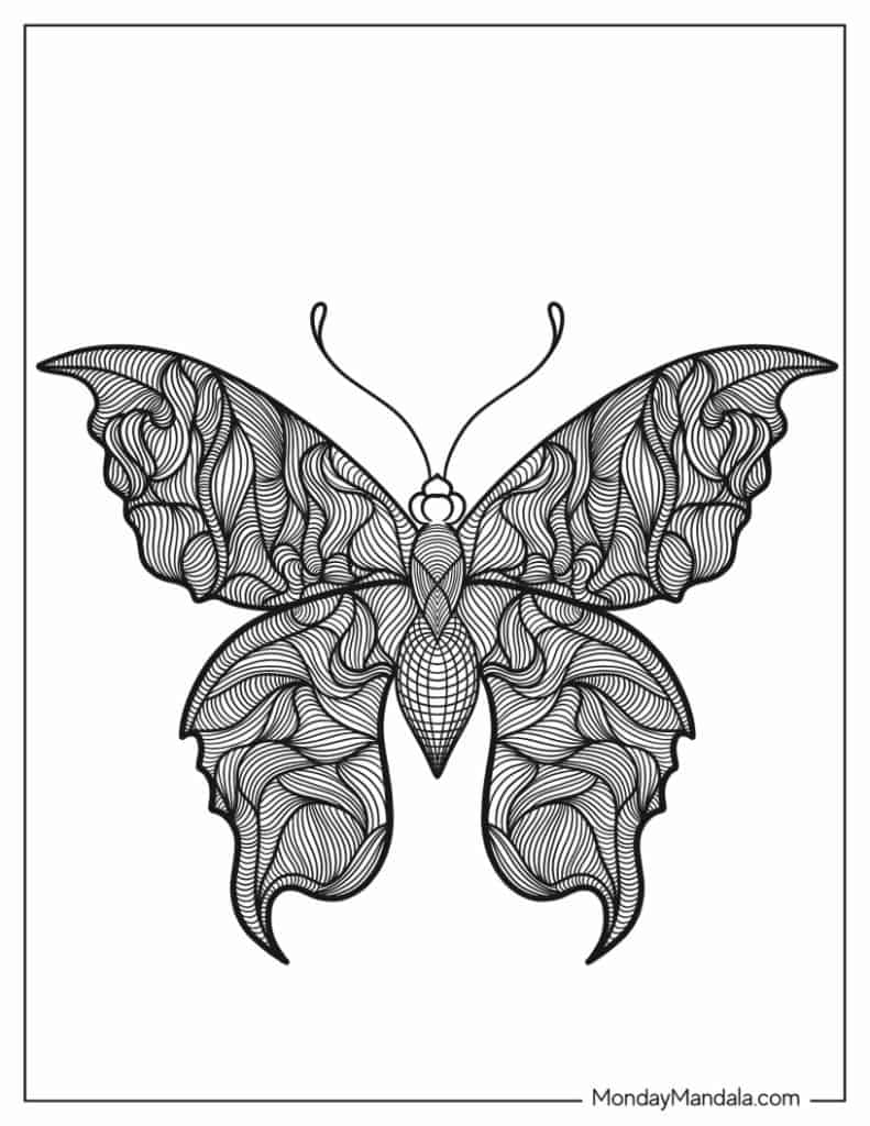 Butterfly coloring pages free pdf printables