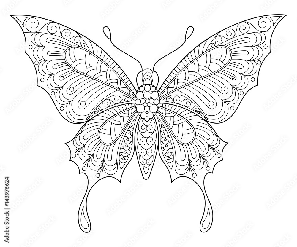 Butterfly adult antistress coloring page black and white hand drawn doodle for coloring book vector