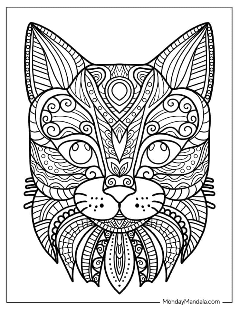 Cat coloring pages free pdf printables