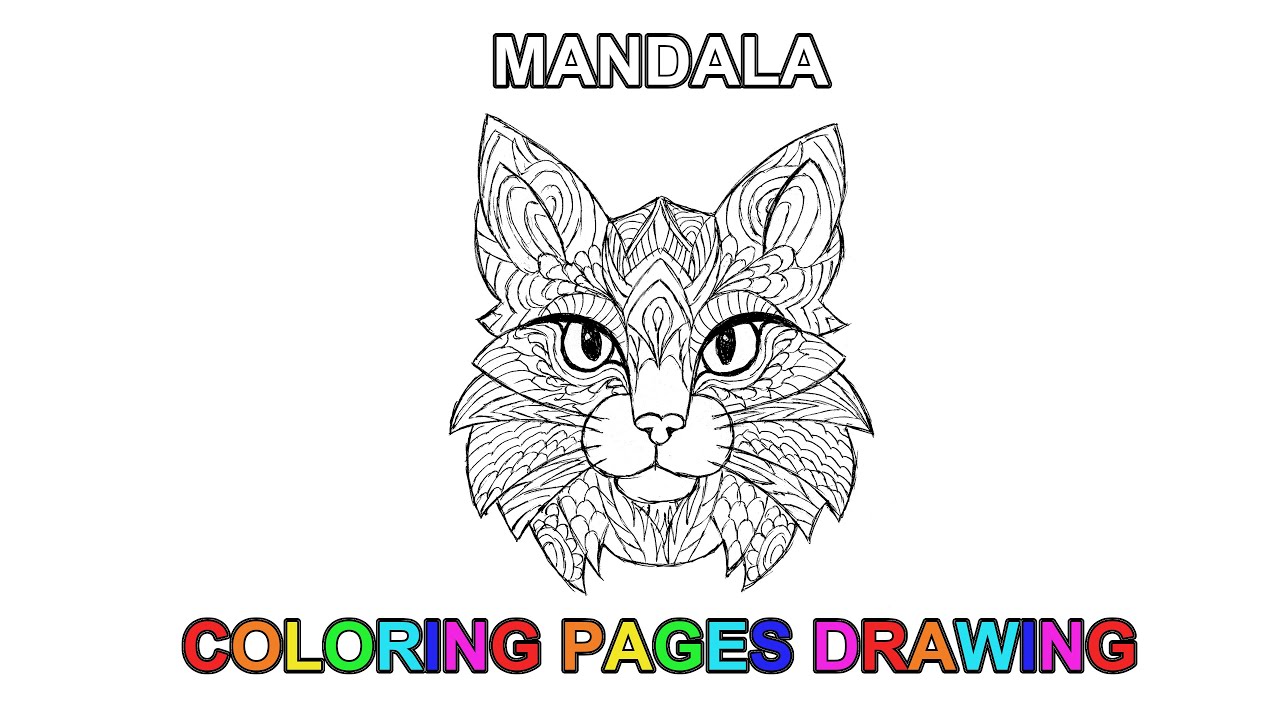 Drawing a cat mandala coloring pages