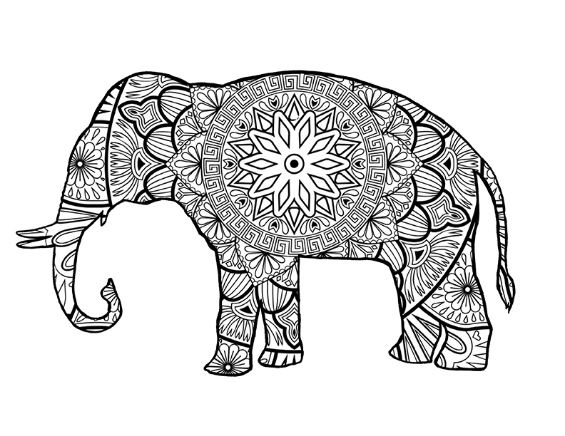 Elephant coloring pages