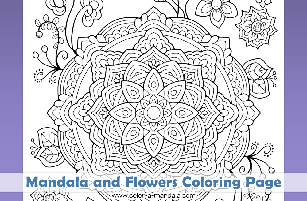 Mandala and flowers coloring page m
