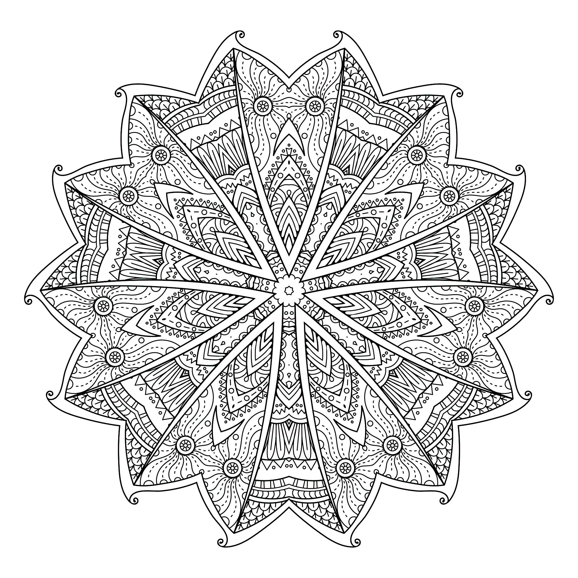 Abstract leaves mandala