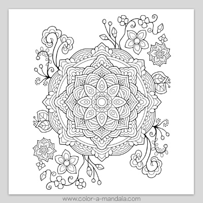Mandala and flowers coloring page m