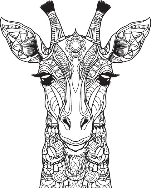 Animal mandalas kids images stock photos d objects vectors