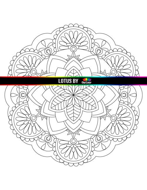 Lotus pdf
