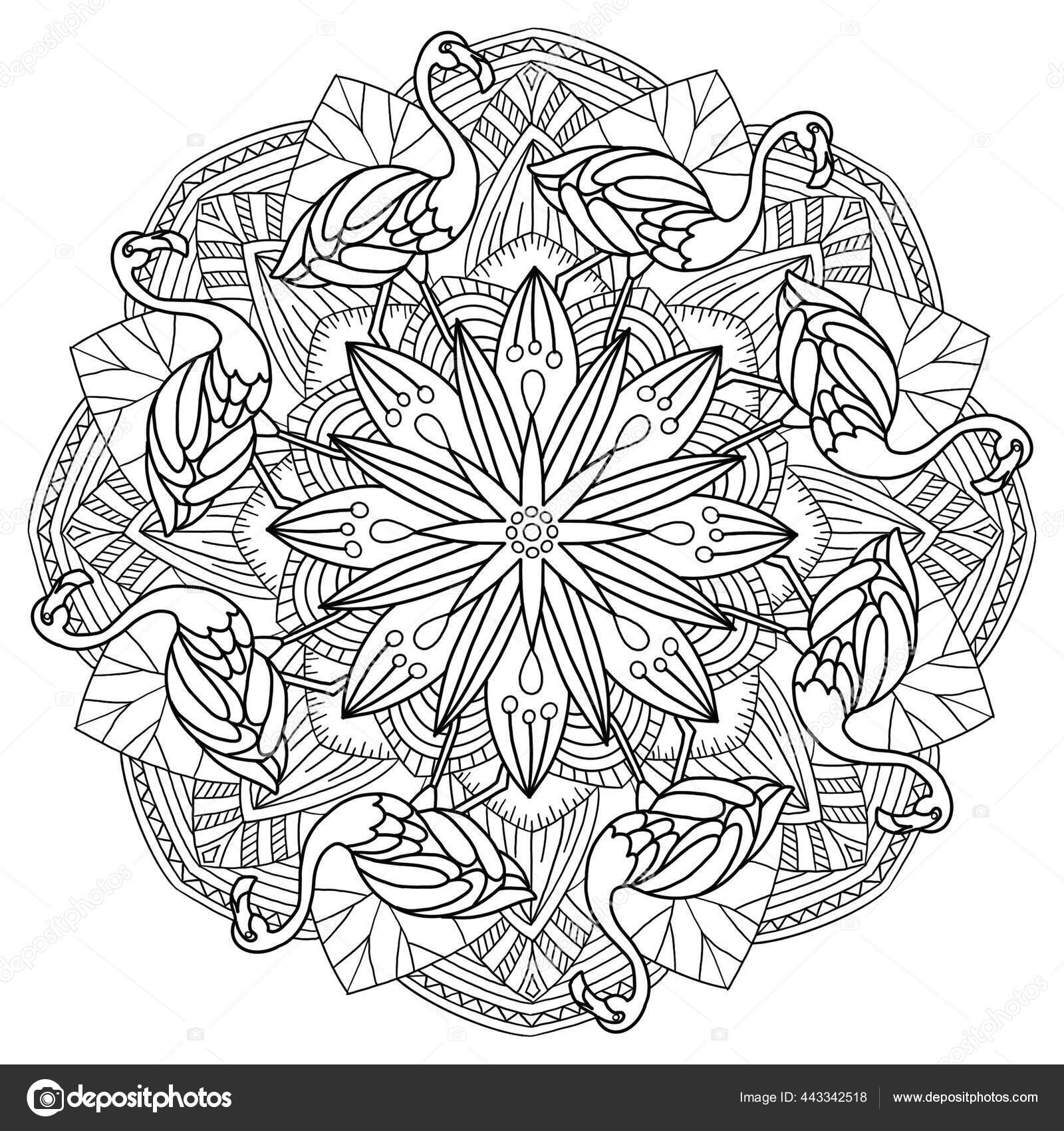 Flamingo lotus flower mandala coloring page children adults stock illustration by alivio