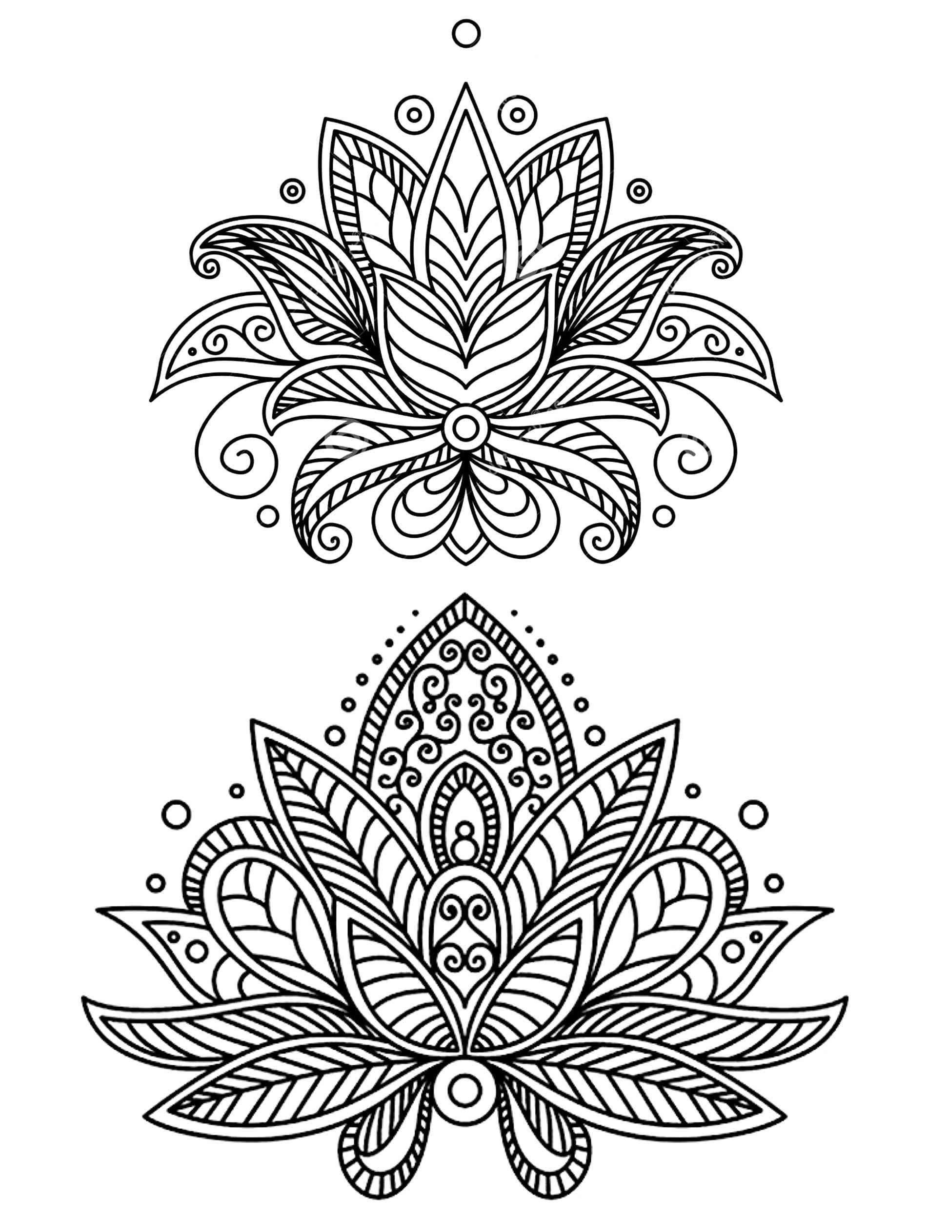 Lotus coloring pages for adults