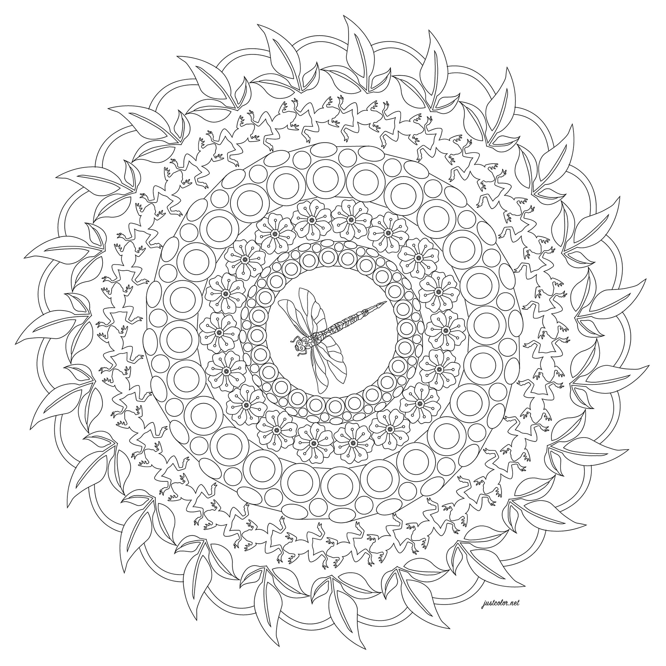 Mandala with dragonfly