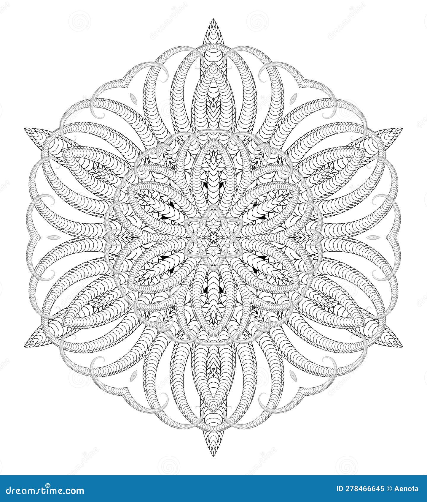 Vector delicate mandala art