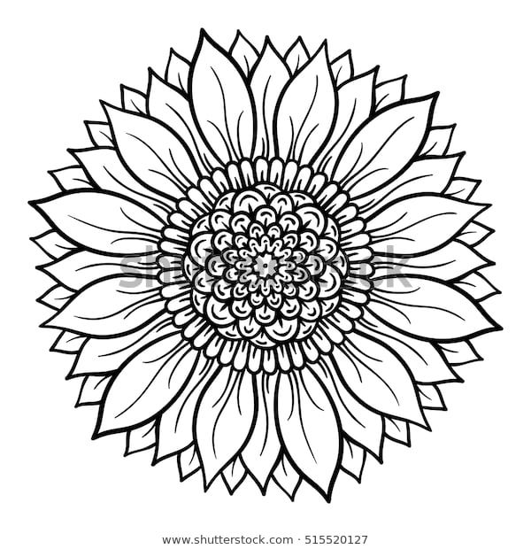 Vector illustration flower mandala coloring page stock vector royalty free shutterstock mandalas para colorir flores para colorir desenho do girassol