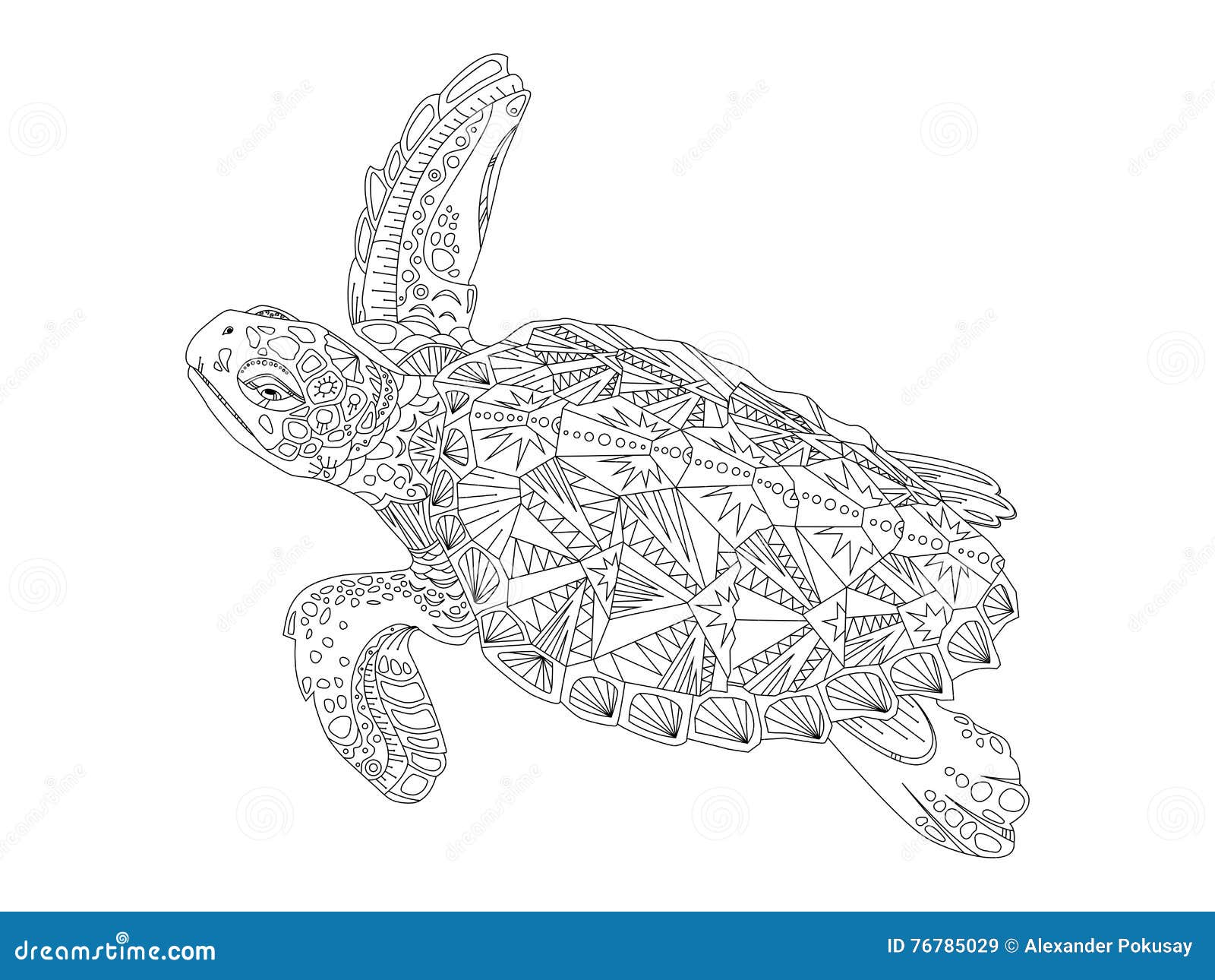 Turtle coloring book for adults vector stock vector