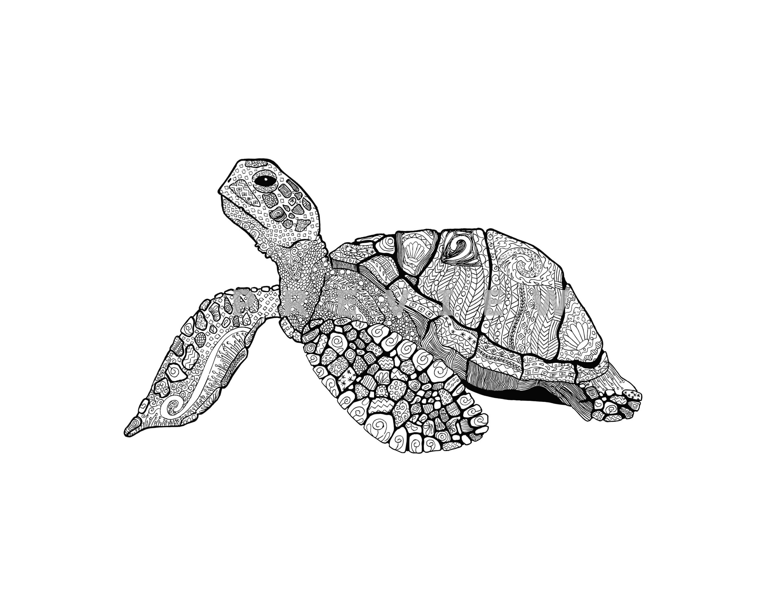 Sea turtle realistic detailed floral mandala wall art banner cut files coloring print tshirt sublimation svg png dxf html eps â cube it nyc