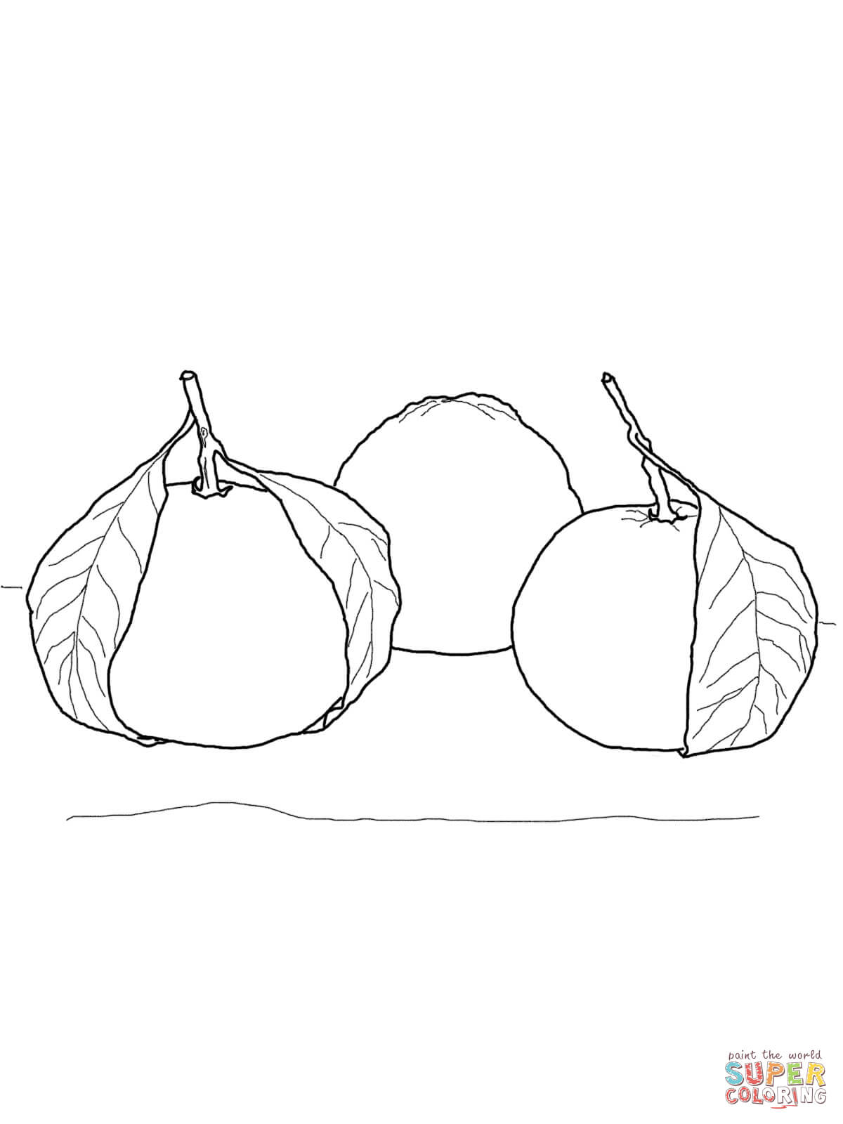 Mandarin orange coloring page free printable coloring pages
