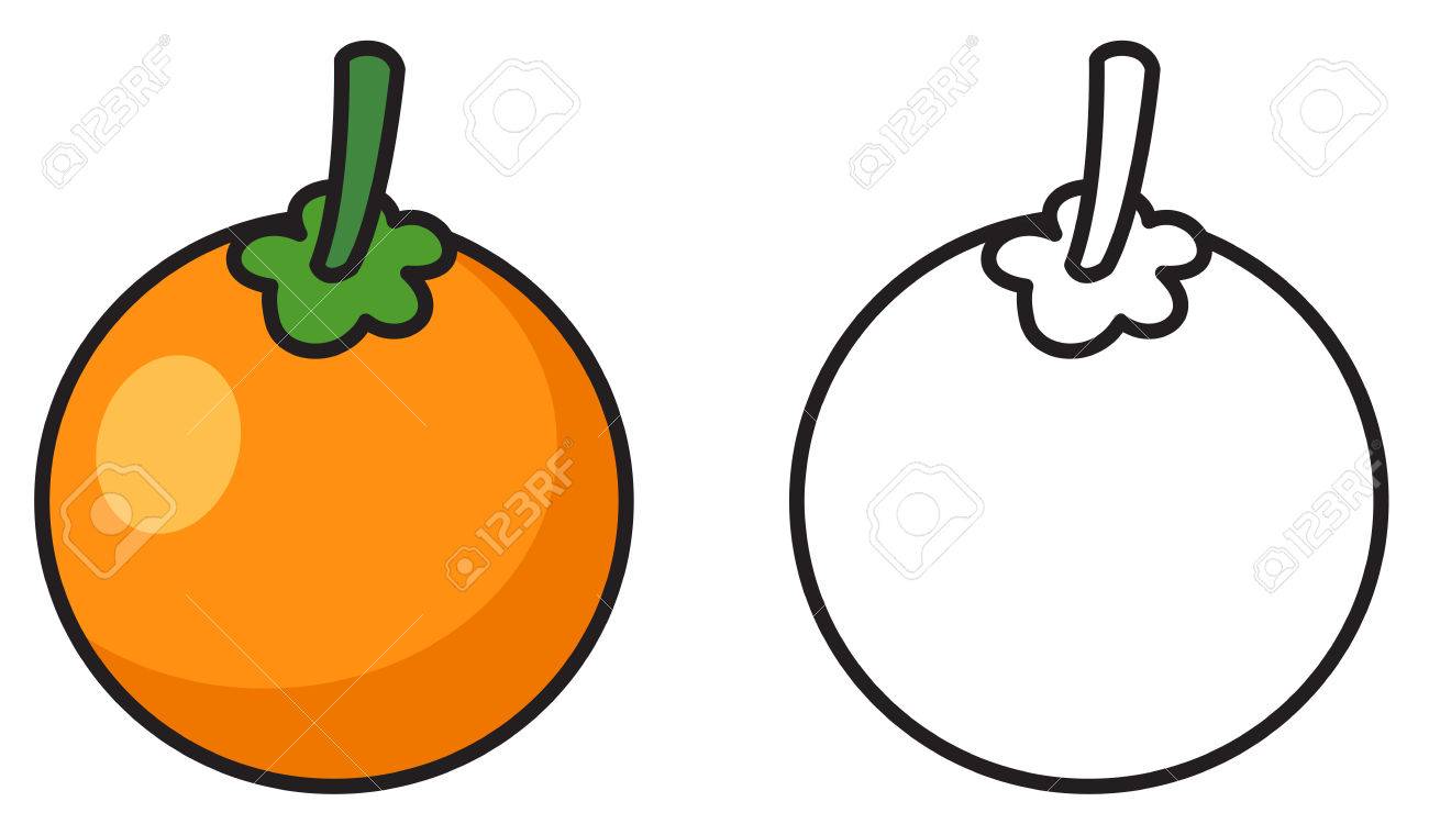 Illustration of isolated colorful and black and white oranges for coloring book royalty free svg cliparts vectors and stock illustration image