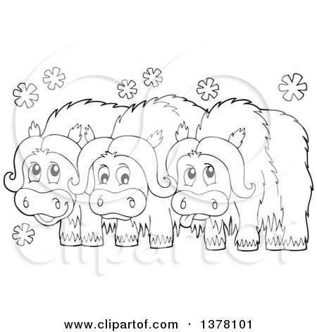 Clipart of a black and white group of musk oxen