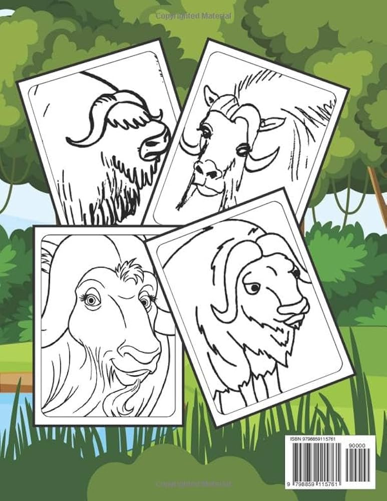 Musk ox coloring book fun and easy coloring pages and a variety of other charming animals for boys or girls bear and many more for boys girls kids ages