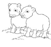 Musk ox coloring pages free coloring pages