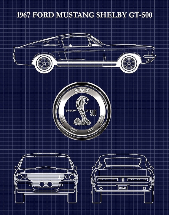 Buy ford mustang shelby gt