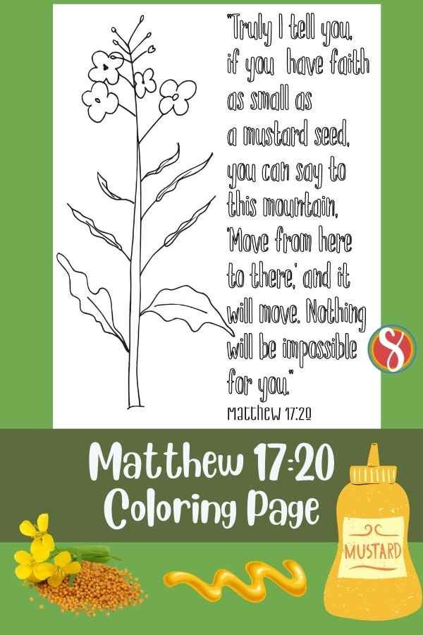 Faith like a mustard seed coloring pages â stevie doodles