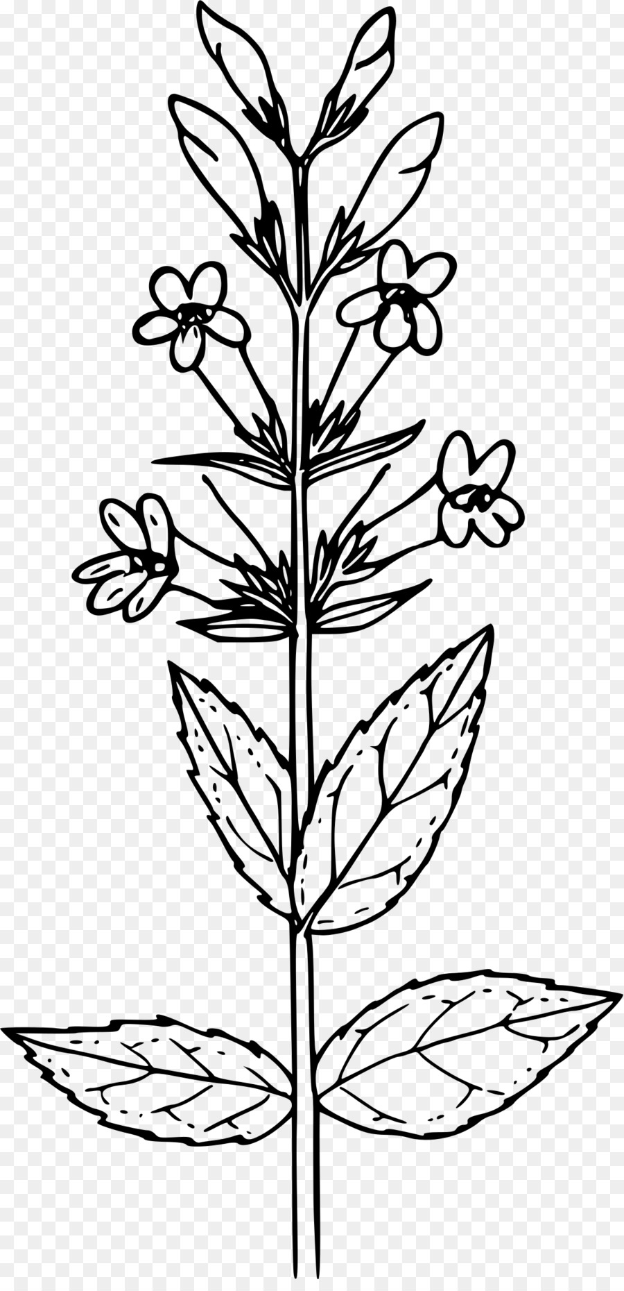 Black and white flower png download