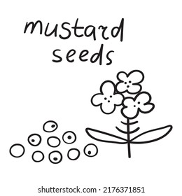 Mustard seed icon images stock photos d objects vectors