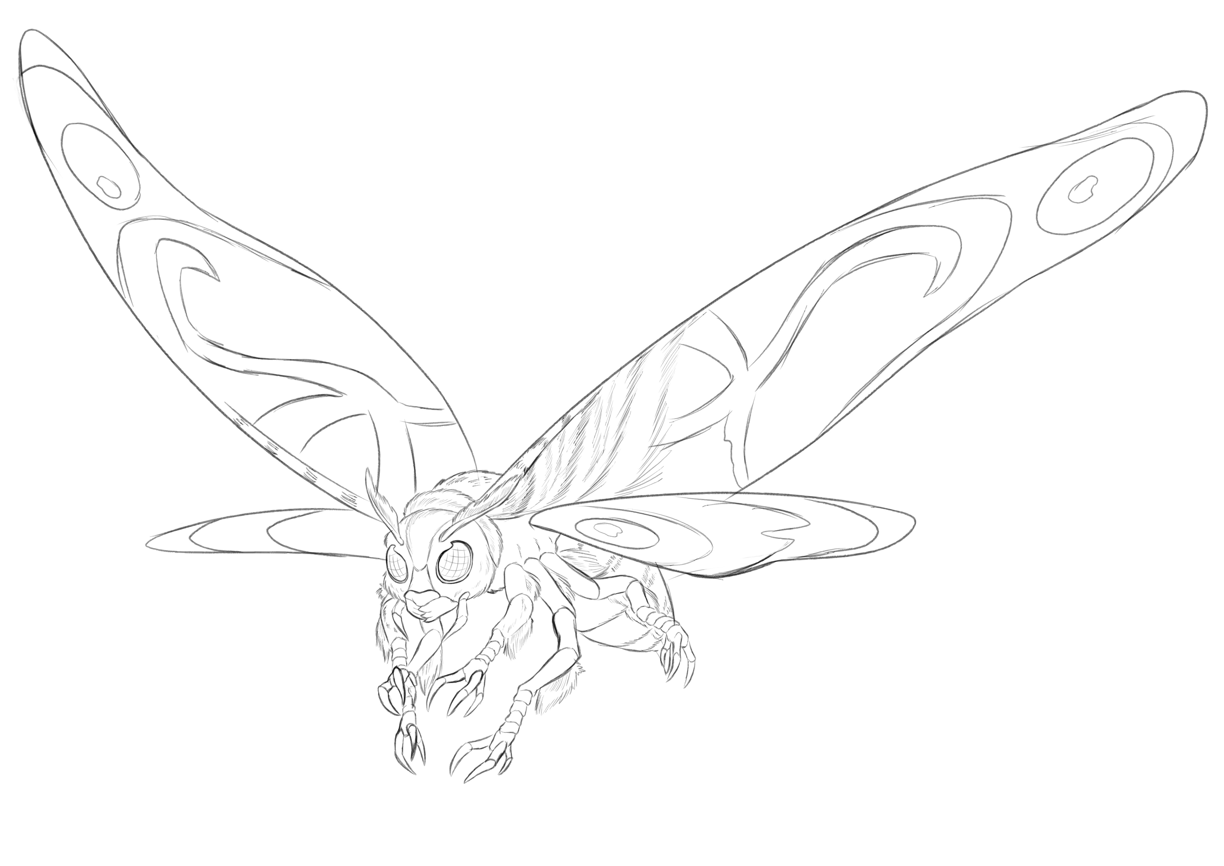 Ive drawn mothra rgodzilla