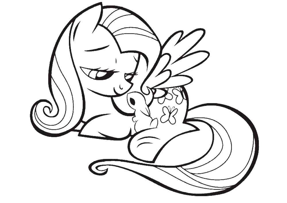 Online coloring pages coloring my little pony fluttershy coloring