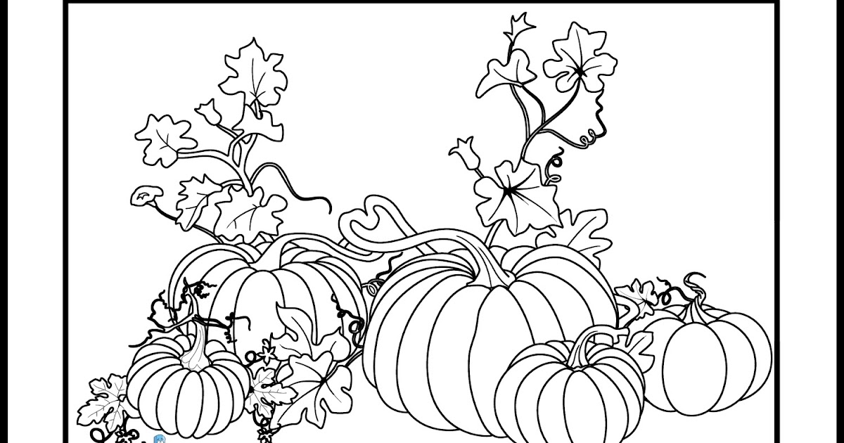 Pumpkin coloring pages team colors