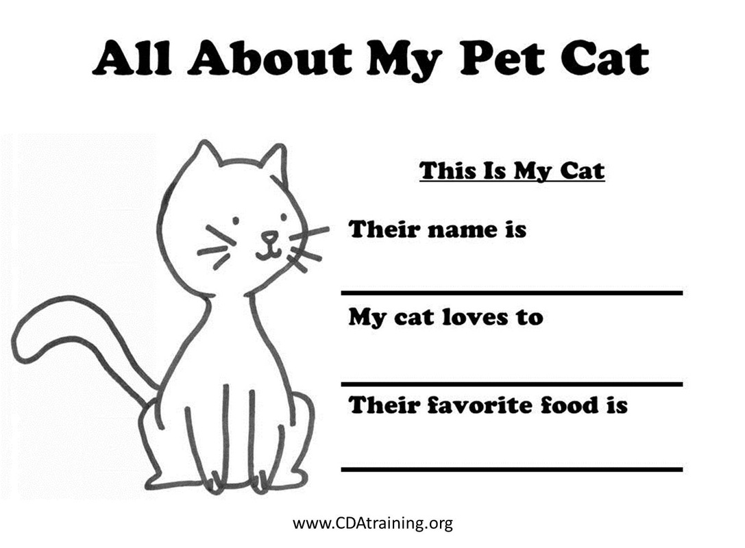 Pets theme