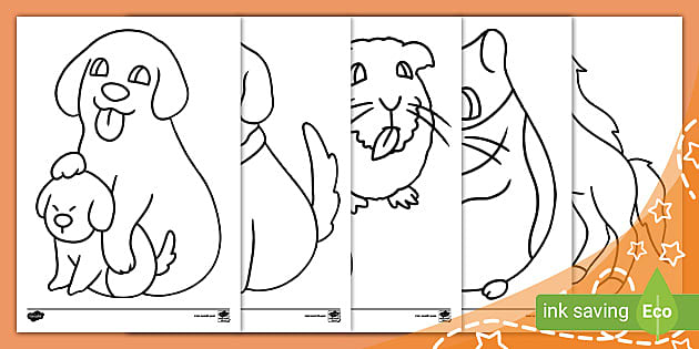 My first pet colouring pack teacher made
