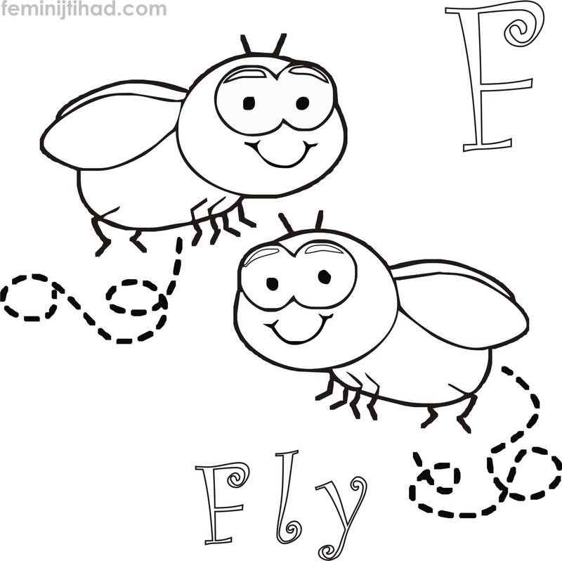 Printable fly coloring pages pdf