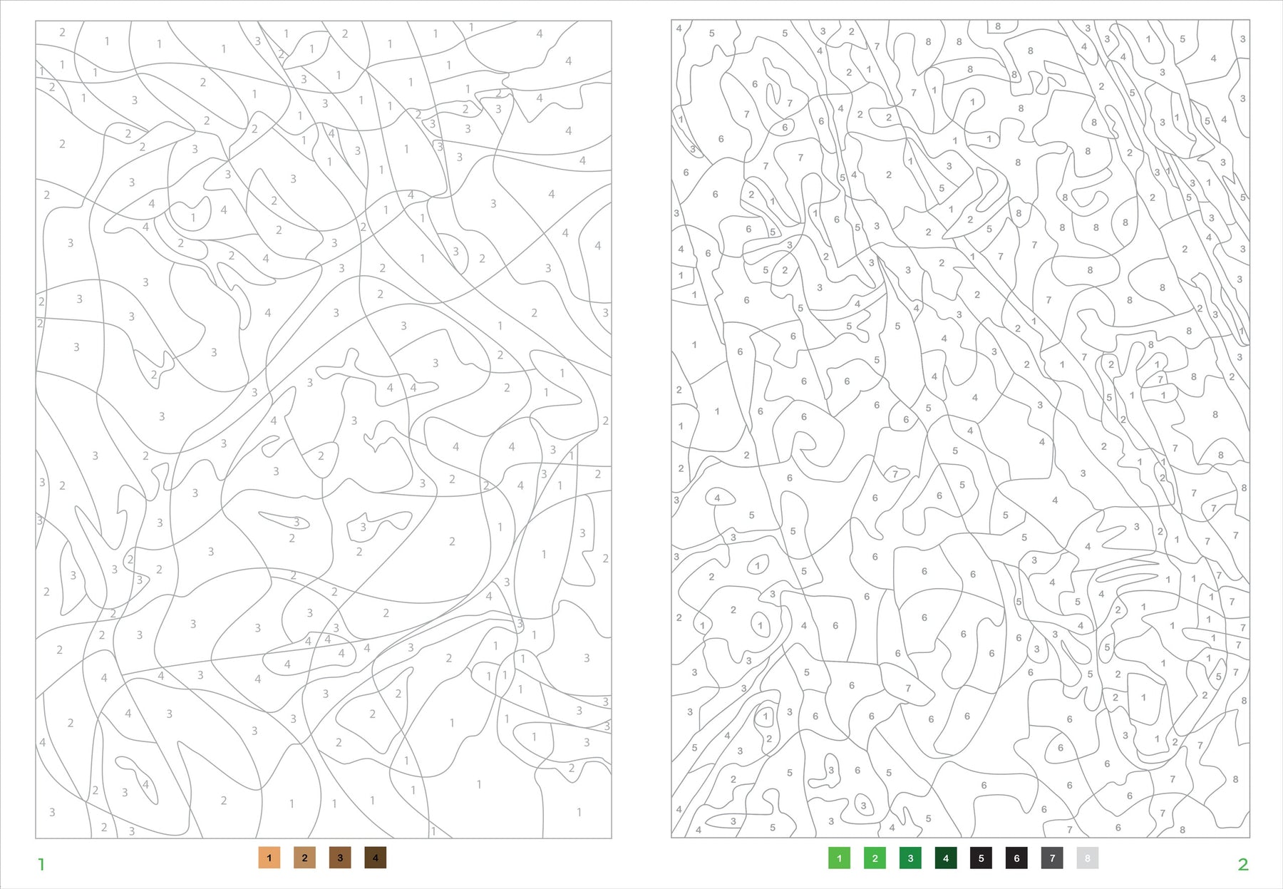 Mystery illustrations to unveil a color