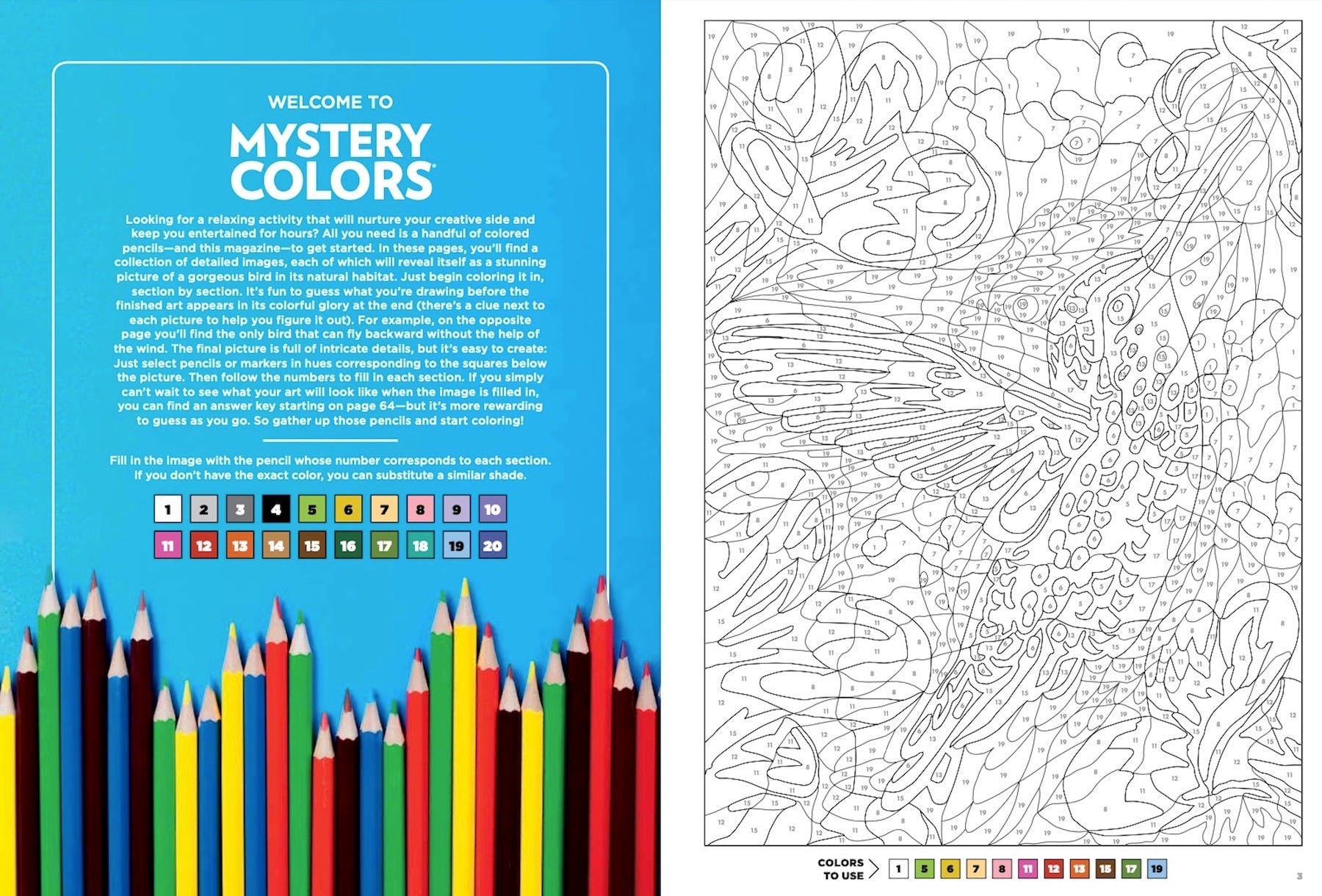 Mystery colors birds and flowers color by number coloring book relax destress and nurture your creative side
