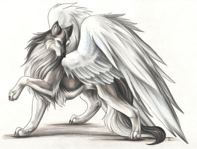 The legend of the winged wolves