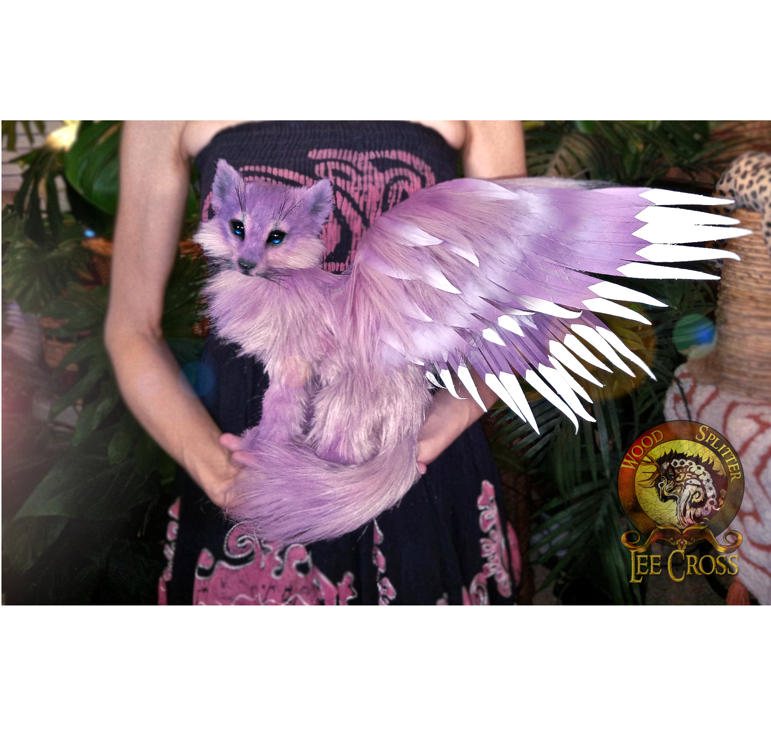 Meet wind the winged fantasy wolf