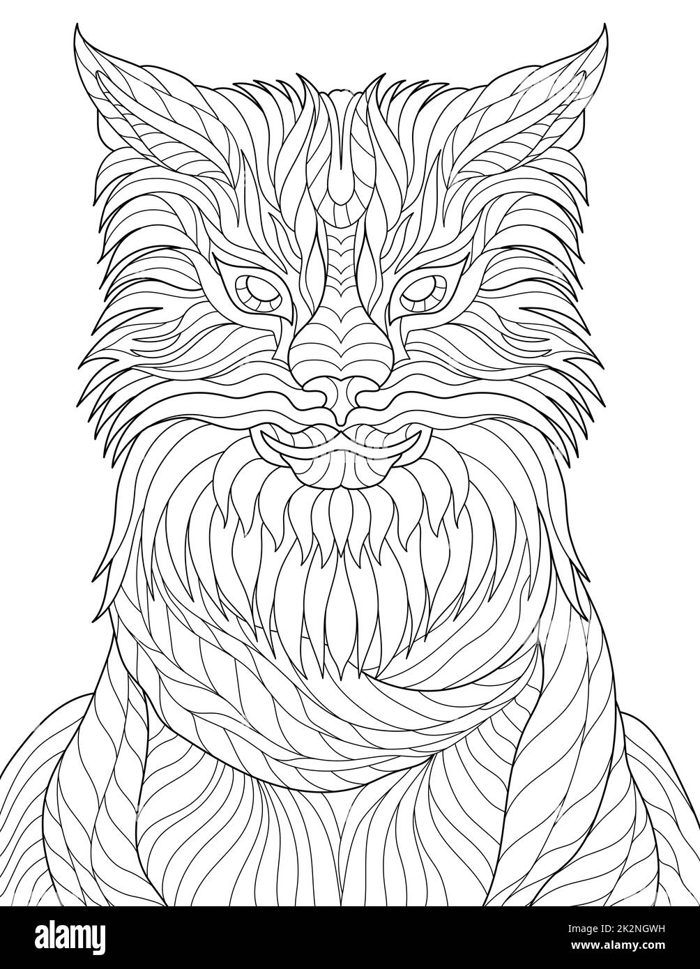 Patterned animal hi
