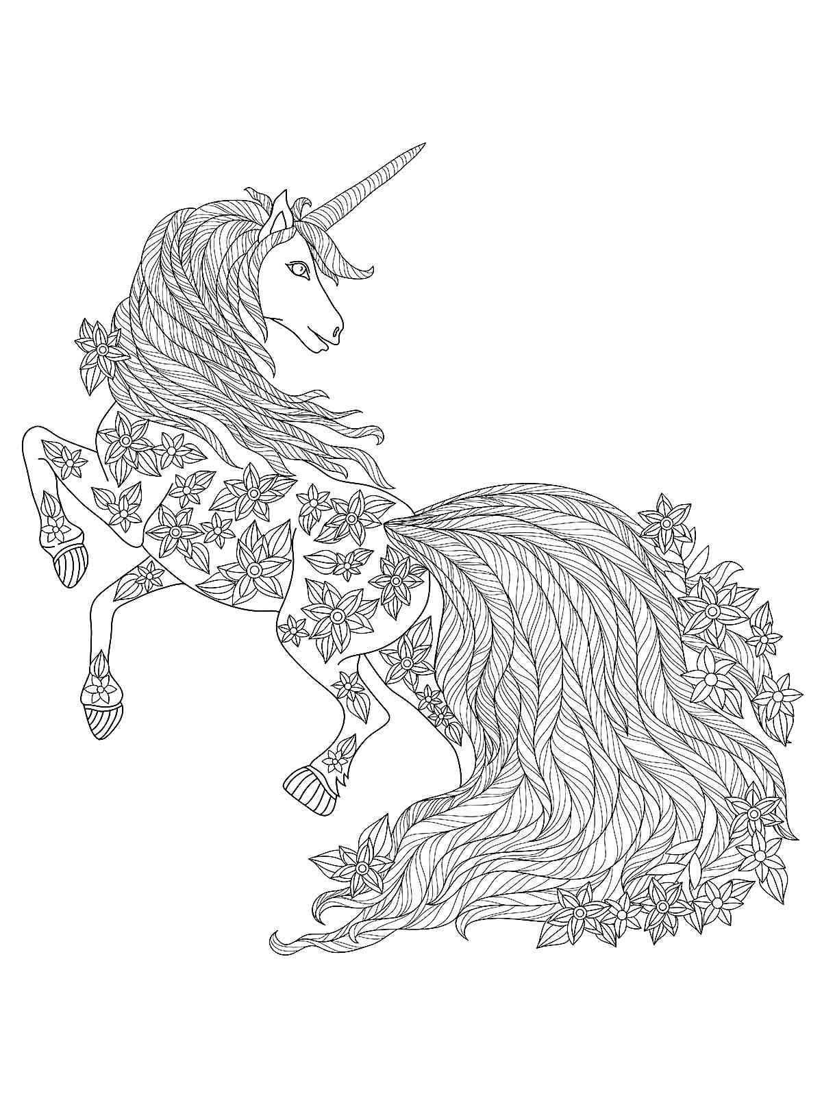 Unicorn coloring pages for adults