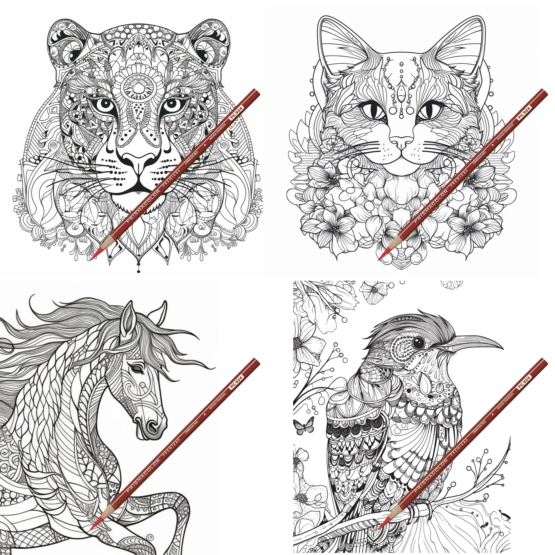Animal mandala coloring book vol coloring pages â the coloring pages store