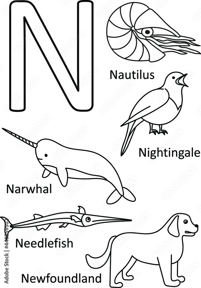 N animals names alphabet coloring for kids alphabet animals coloring page abc coloring preschool education vector