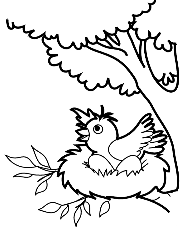 A bird with eggs in a nest coloring page