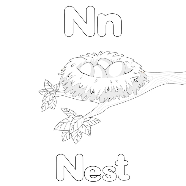 Premium vector n for nest